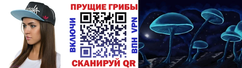 где купить наркотик Краснообск hydra ТОР Галлюциногенные грибы мицелий